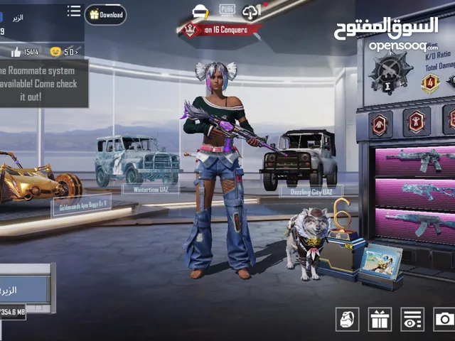 Pubg Accounts and Characters for Sale in Amman