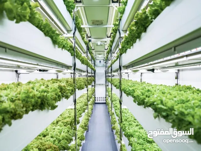 مكتب دراسات زراعية متخصص في الزراعة الحديثة والذكية – ROLINE SMART HYDROPONICS SARL