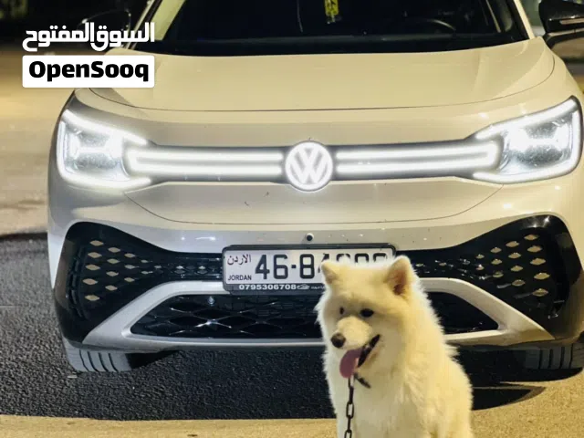 كلب سام وايد عمره 9اشهر