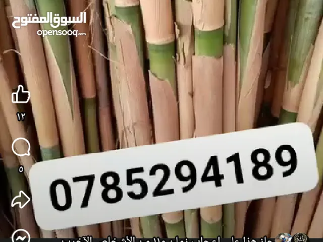قصيب المشاتل وا المزارع يوجد جميع الأحجام يلزم جميع المزرعين