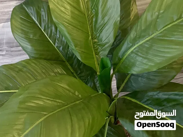 شجر اصطناعي واقي