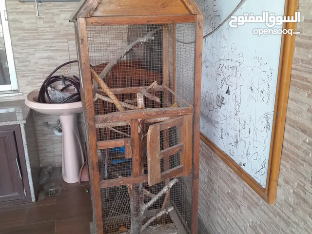 مطير عصافير