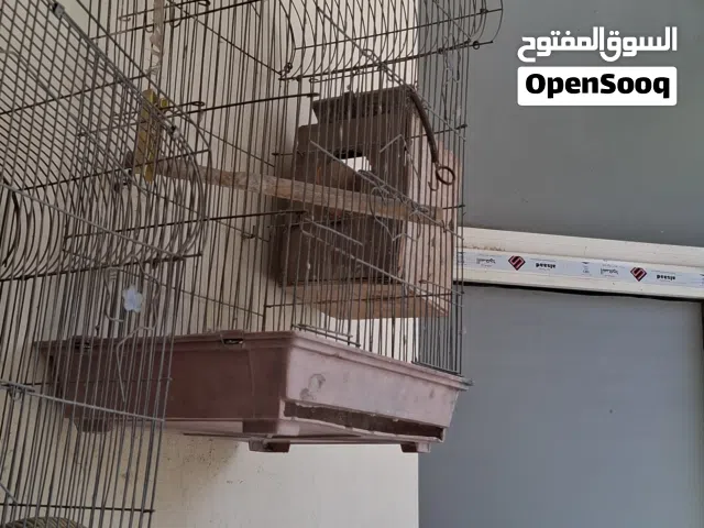 اقفاص عصافير احجام مختلفه