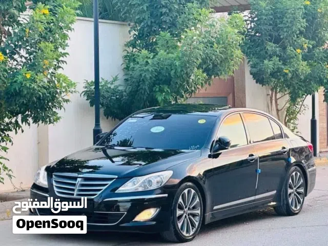 2013 جينيسيس اخرى