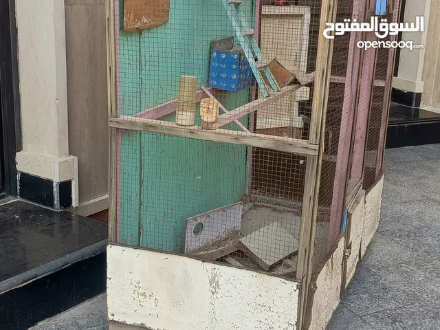 قفص للبيع نظيف ومتروك ارتفاعه 190 وعرضه 125 وبي بيوت يرهم لطيور الحب والغنادير والكوكتيل سعره 50