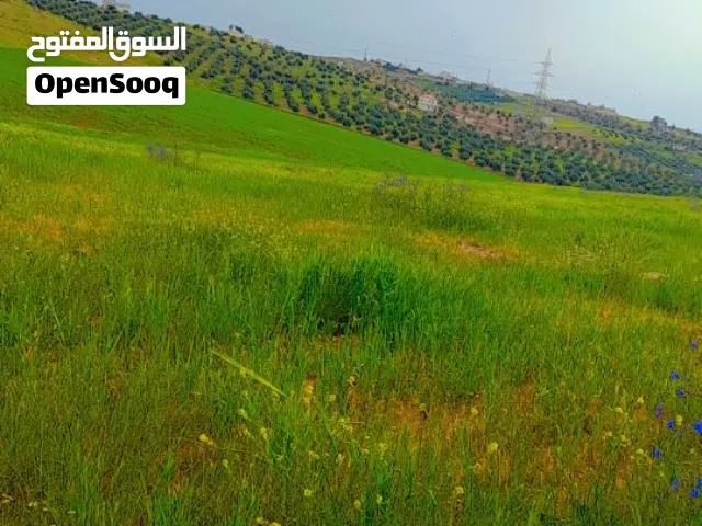 Residential Land for Sale in Mafraq Rhab