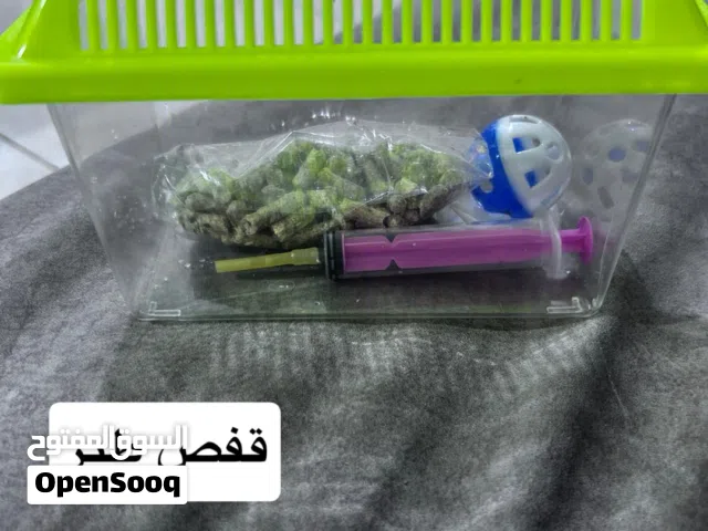 السلام عليكم قفص مال فروخ طير اللوف بيرد او الروز القفص مستعمل للتجربة فقط و شرق النظافة و حيل حلووو