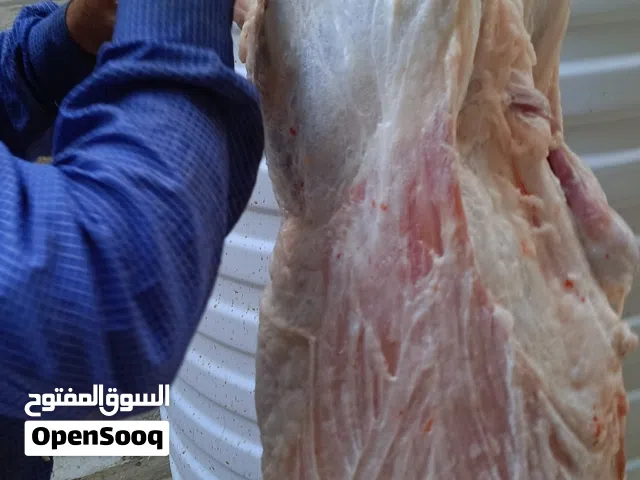 لحام منزلي متنقل لذبح كافة الاضاحي والعقائق والنذور