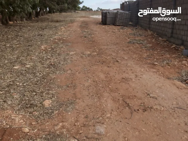 Farm Land for Sale in Jebel Akhdar Other