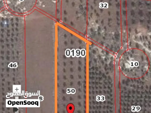 Farm Land for Sale in Irbid Hawr