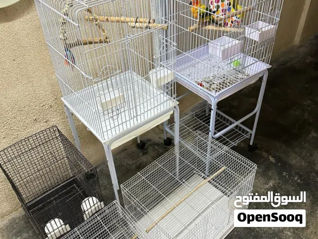 أقفاص للبغبغاوات وطيور الزينه دره متوه