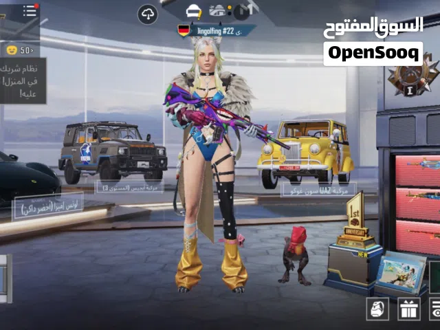 Pubg Accounts and Characters for Sale in Amman