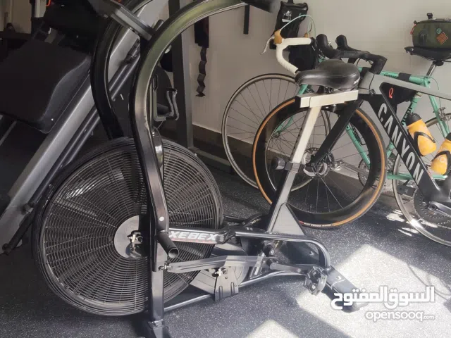 xebex air bike heavy duty