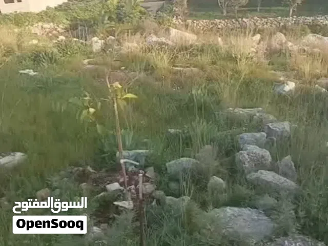Residential Land for Sale in Tulkarm Danaba