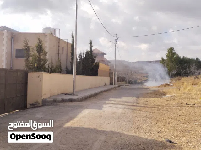 بيرين صروت المرج الأصفر