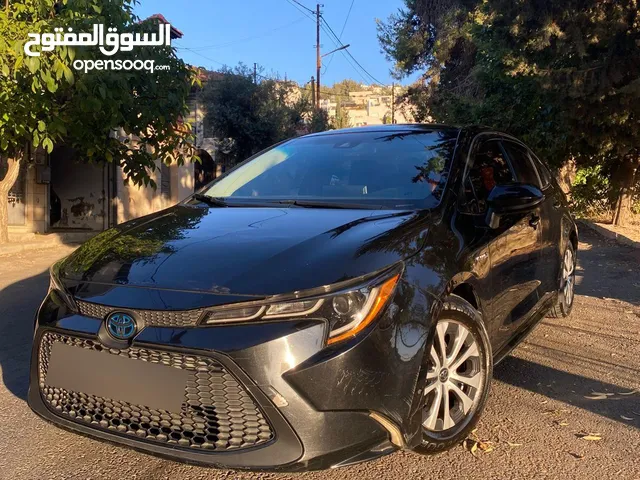 Used Toyota Corolla in Amman