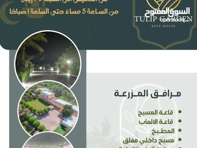 More than 6 bedrooms Chalet for Rent in Al Batinah Sohar