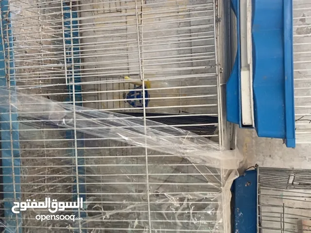 موجود قفصين للبيع