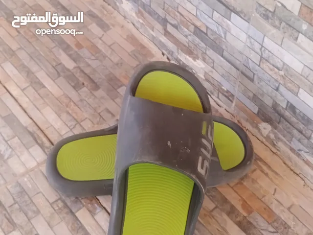 ببوج 2025 اسطوري ابو كلب ابن حرام للبيع تواصل هنا