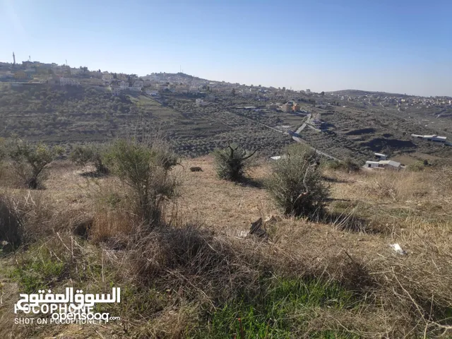 Residential Land for Sale in Nablus Tal Village