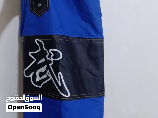 BOXING BAG