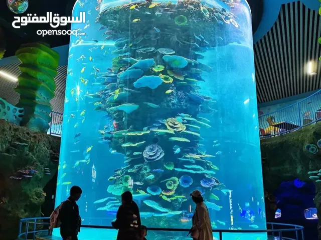 شركة Pet dreams  لي احواض السمك البحرية