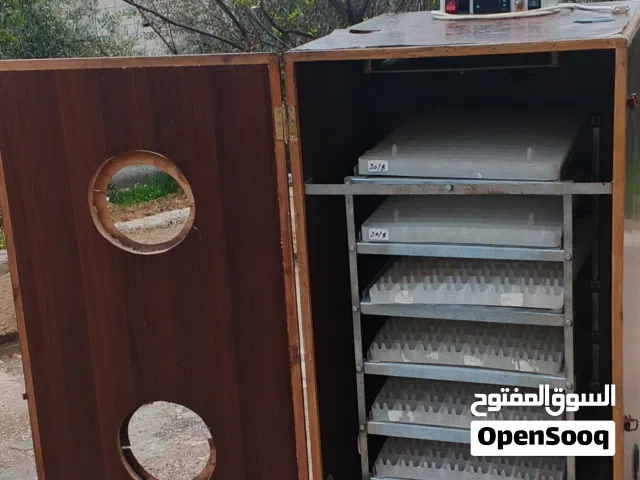 فقاسا بيض صيصان وا تكاثر بيض