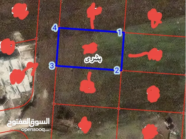 Residential Land for Sale in Irbid Bushra