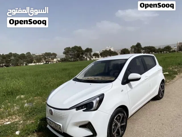 2025 شانجان E-ستار