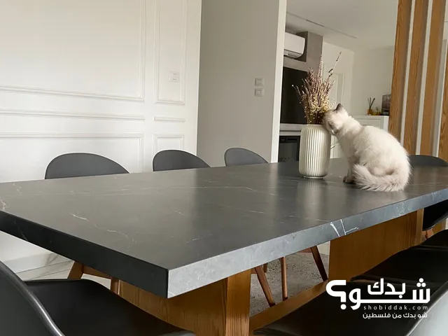 marble table and wood, professionally handmade with 8 chairs