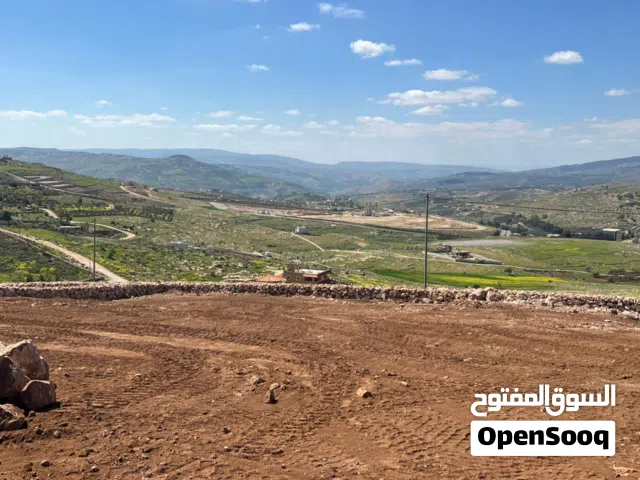 أرض للبيع اثنين دونم منبسطة مسنسله المدينة السياحية.