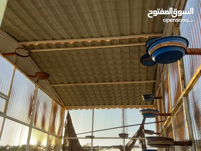 براكةحمام ربي ايبارك طول 6متر عرض3متر الارتفاع3