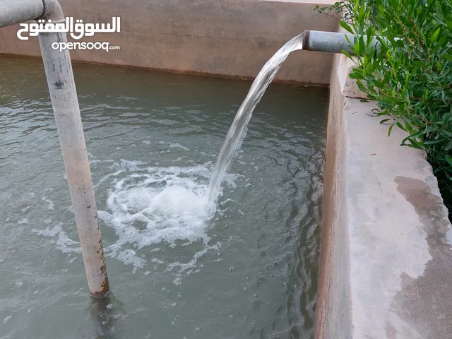 Farm Land for Sale in Zawiya Western Zawiya