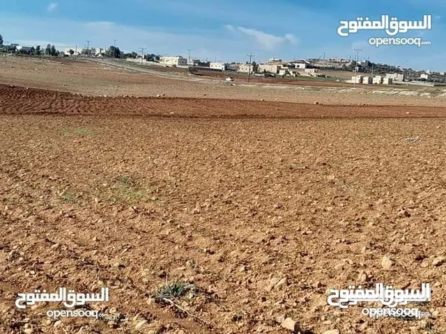 3650 م للبيع ارض مستويه قريبه من الخدمات تصلح مزرعه