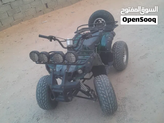 2022 QJmotor CVH