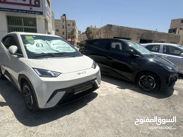 BYD سيجال 2024