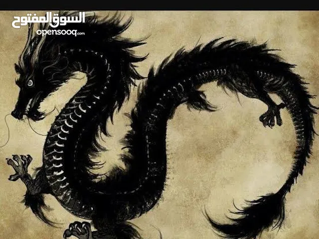 باحث عن المعلومات