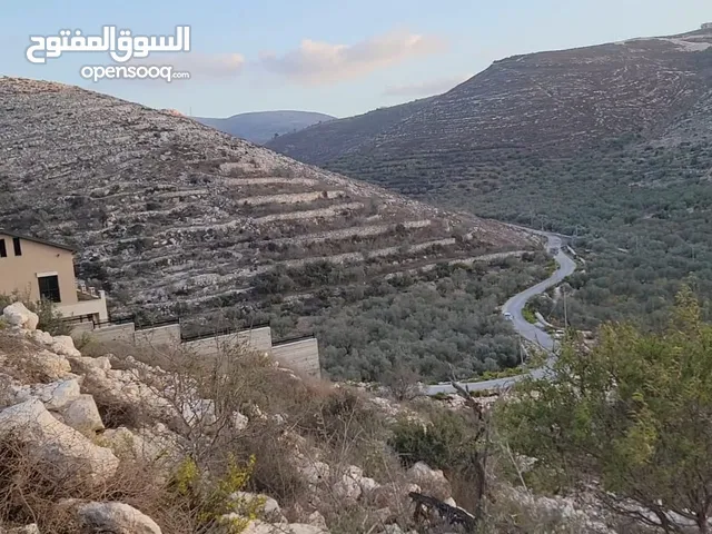 نمر اراضي في عيرة الشمالية بالقرب من اسكان زهران (حي الجبل)