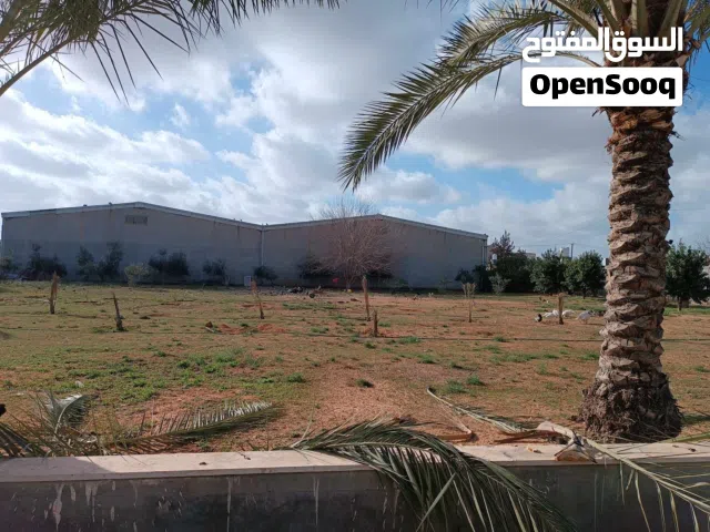 Mixed Use Land for Rent in Tripoli Ain Zara