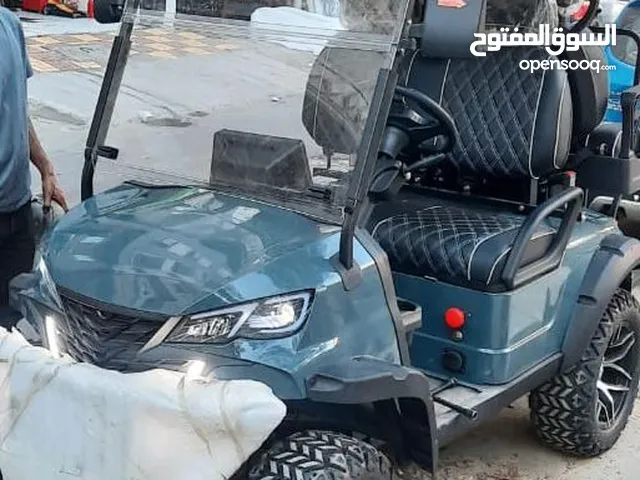 Golf Cart 2024