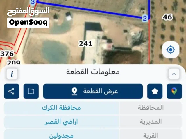 مزرعة زيتون للبيع بالكرك - القصر
