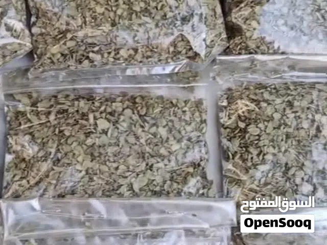 زعتر عماني أنتاج الجبل الأبيض