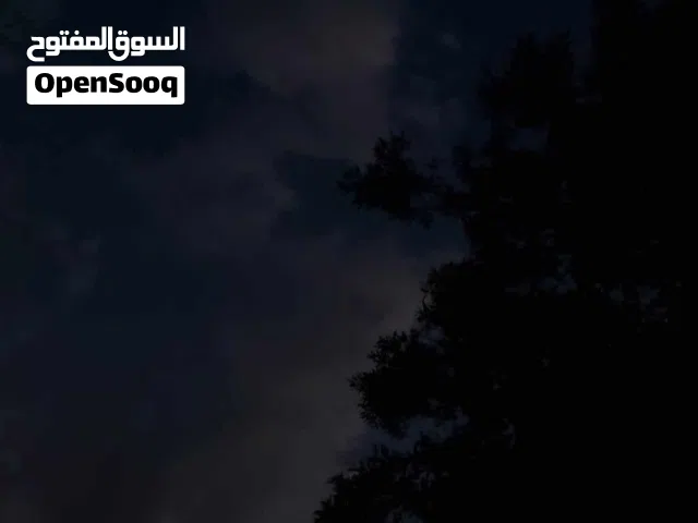 السلام عليكم بدي قطه تبني قطه منزل في العقبة