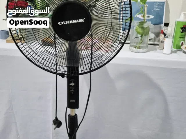 Electric Fan Stand Fan
