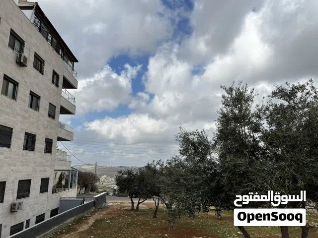 Residential Land for Sale in Amman Shafa Badran