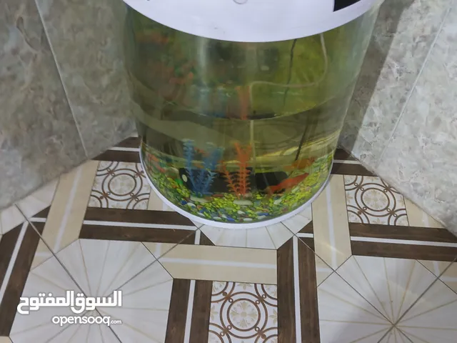 حوض سمك زينه للبيع