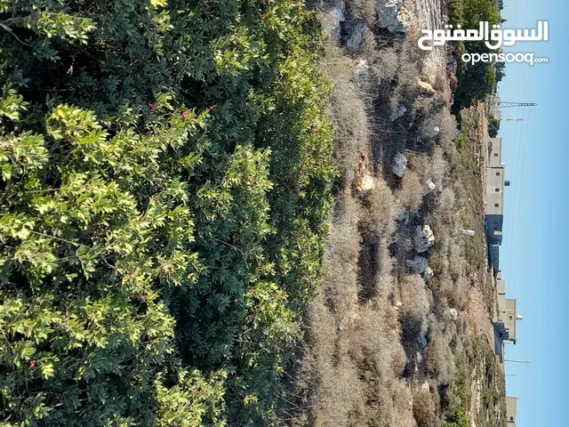 Mixed Use Land for Sale in Jebel Akhdar Other