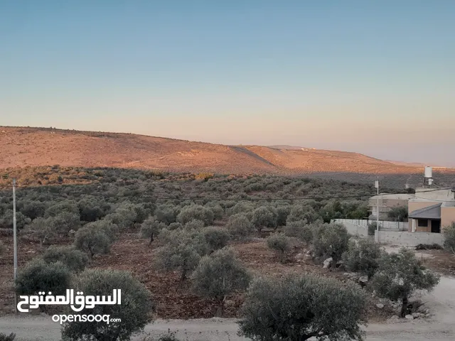Residential Land for Sale in Jenin Al-Judeida