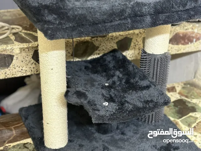 بيت للقطط لاستراحة واللعب
