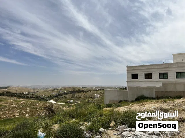 Residential Land for Sale in Amman Shafa Badran